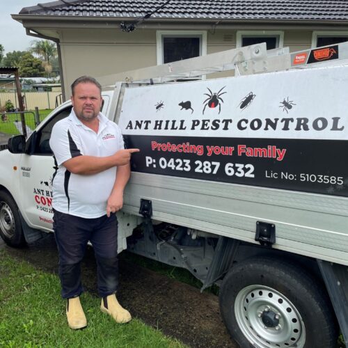 About Anthill Pest Control Pest Control Liverpool
