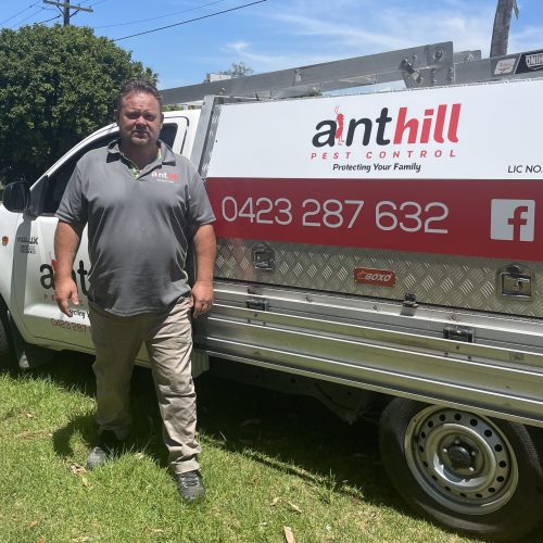 About Anthill Pest Control Pest Control Liverpool